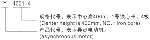 西安泰富西玛Y系列(H355-1000)高压YE2-250M-2三相异步电机型号说明