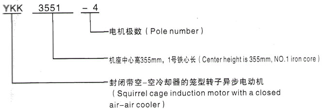 YKK系列(H355-1000)高压YE2-250M-2三相异步电机西安泰富西玛电机型号说明